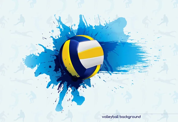 Asd Centallo Volley